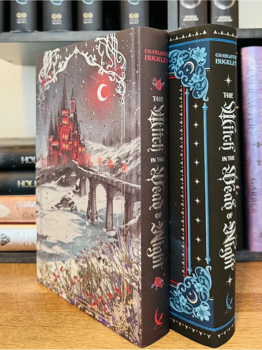 Fairyloot Exclusive The Witch in the Dead of Night by Charlotte Buckley